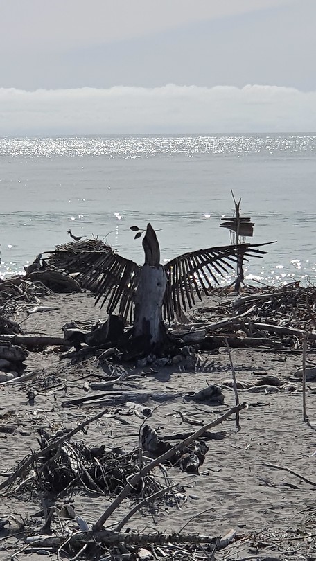 Strand Hokitika