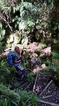 Bush wandeling