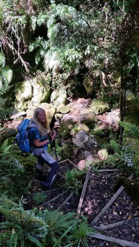 Bush wandeling