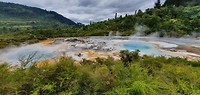 Orakei park