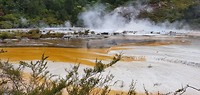 Orakei