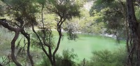 Waiotapu