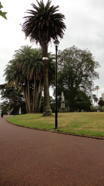 Palmbomen in stadspark
