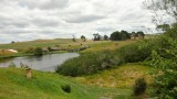 View The Green Dragon