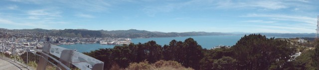 Panoramaview op de top van Mount Victoria