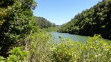 View 1 Zealandia