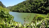 View 2 Zealandia