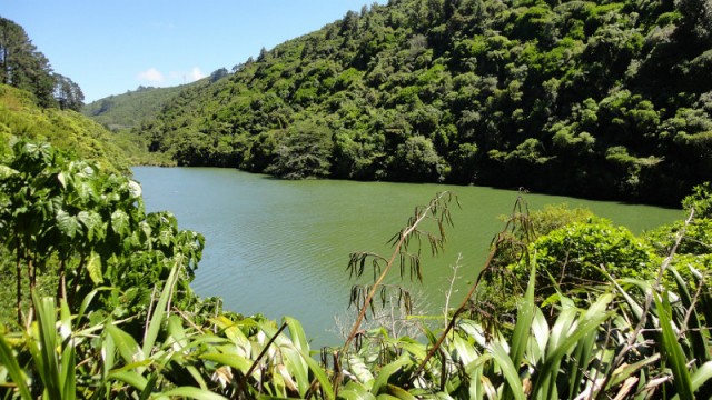 View 2 Zealandia