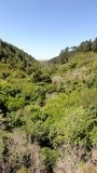 View 3 Zealandia
