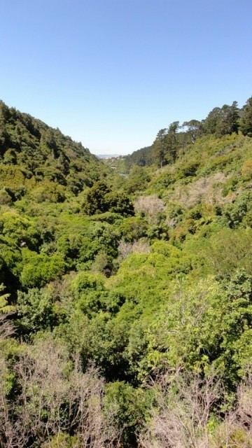 View 3 Zealandia