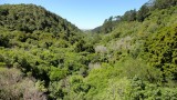 View 4 Zealandia