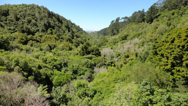 View 4 Zealandia