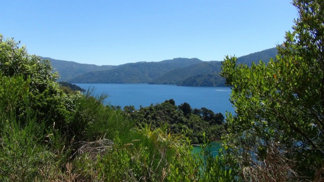 View 5