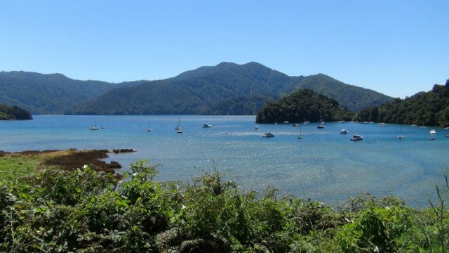 View 6
