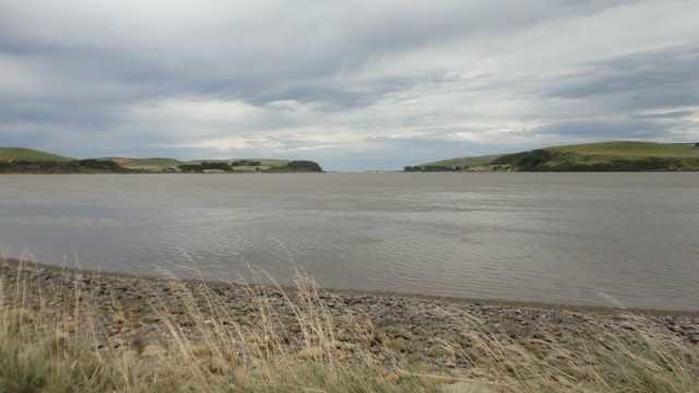 View 4