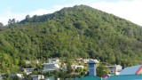 CAM 8
