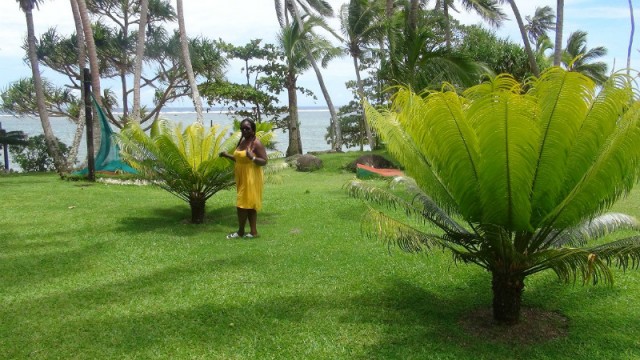 Resortview 9