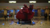 Een groot kunsthart met in de achtergrond Charlotte