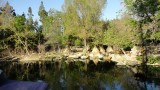DSC01398