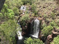 Florence falls