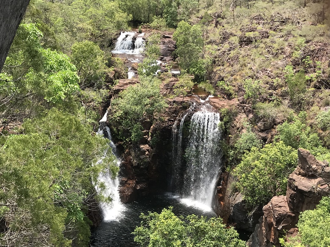 Florence falls