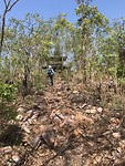 Mirrai lookout