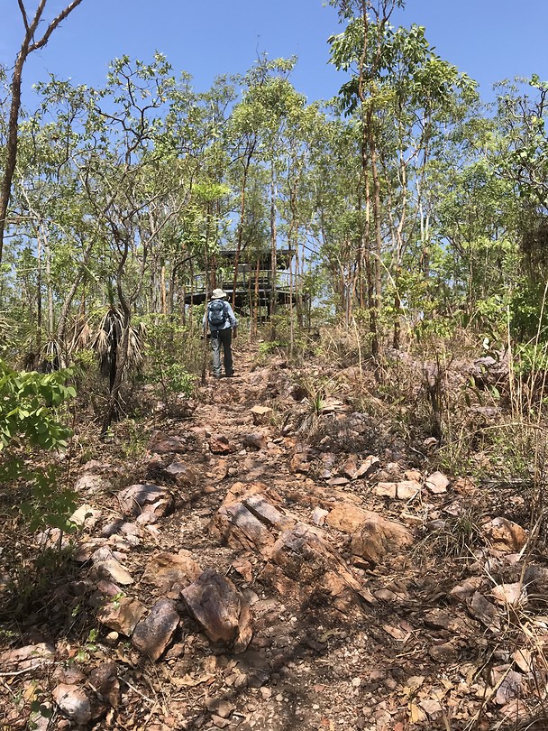 Mirrai lookout
