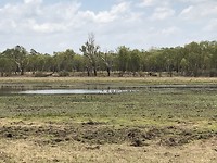 Anbangbang billabong walk