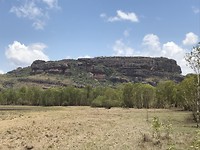 Anbangbang billabong walk