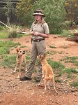 dingo talk, desert park