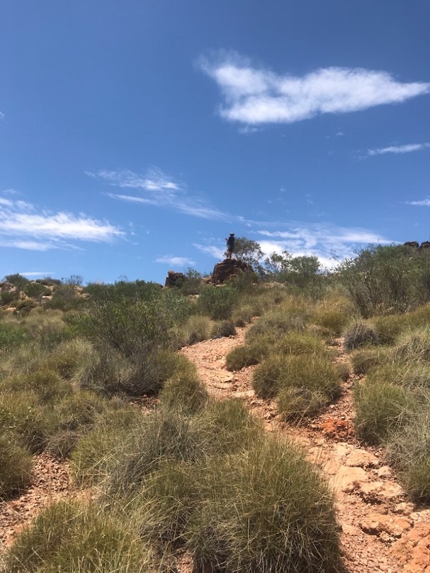 Dolomite walk, Ellery Creek