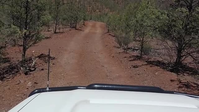 tour Kim 4x4