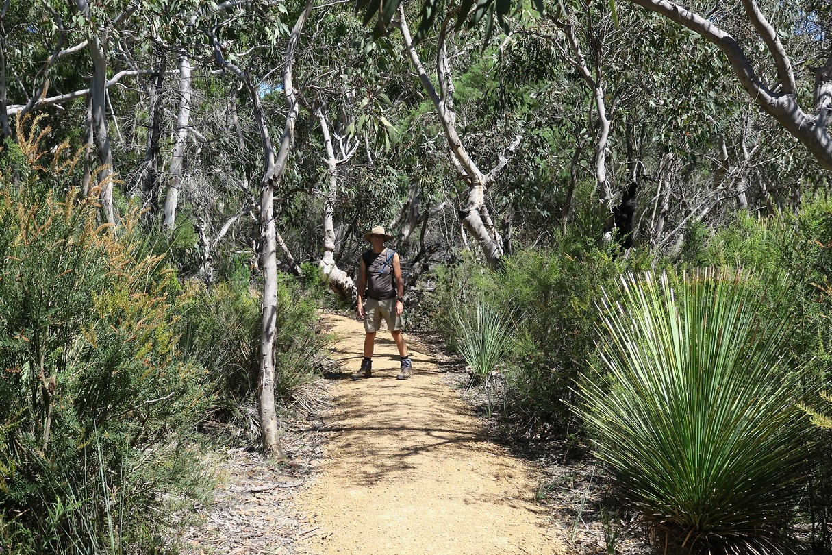 Black Swamp Hike