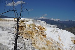 Mammoth hot springs