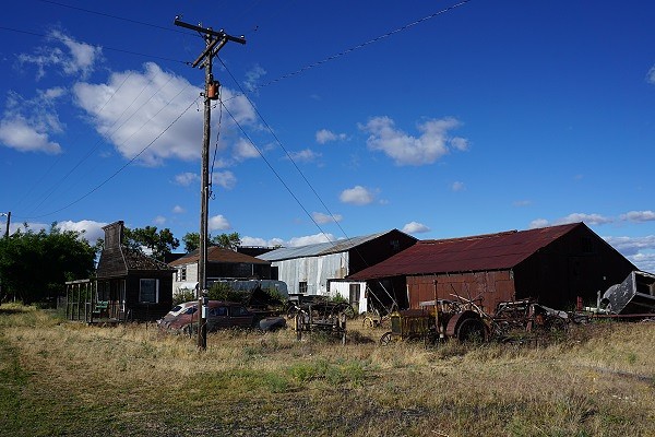 Shaniko