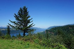 Uitzicht op Columbia River