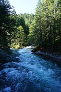 'Beekje' in North Cascades