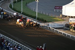 'Chuckwagon'-race