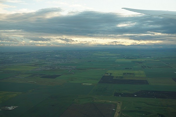Terugvlucht