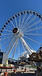 IMG_0705