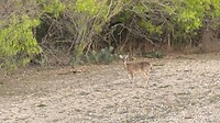 IMG_1040