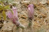 P1120361