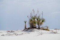 P1120404