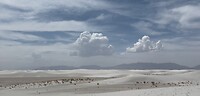 IMG_0242