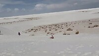 IMG_1187
