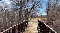 IMG_1203