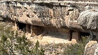 IMG_1230