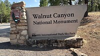 IMG_1238