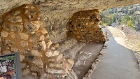 IMG_1231