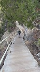 IMG_1234